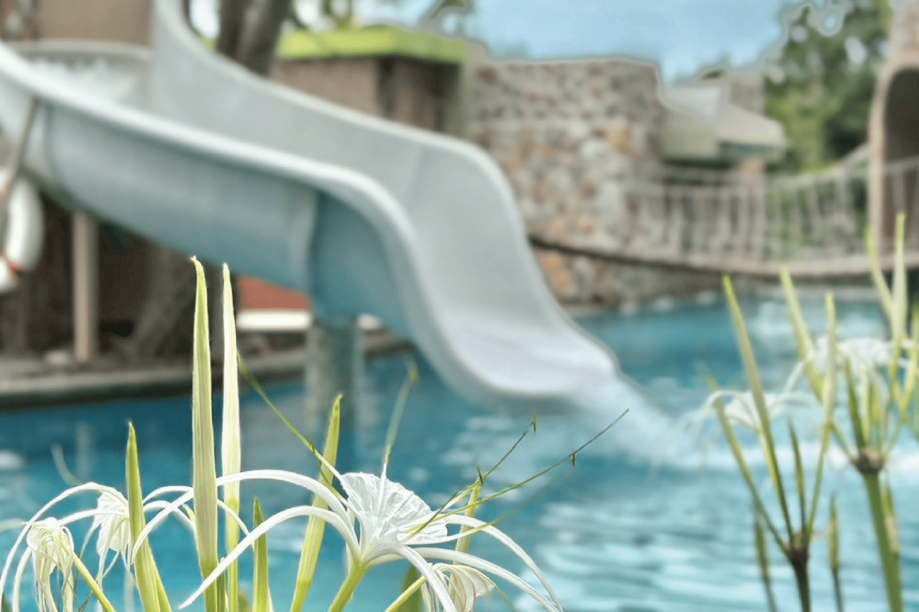 Pool11_0
