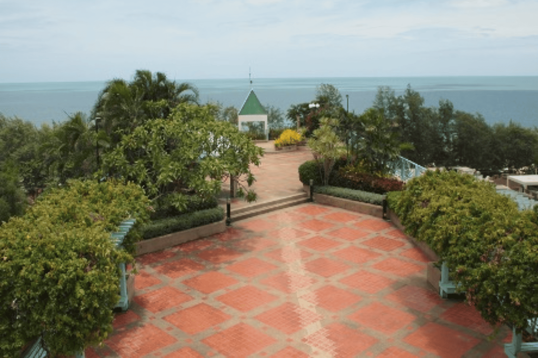 Roof garden