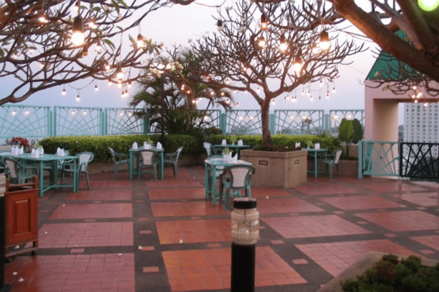 Roof garden(3)